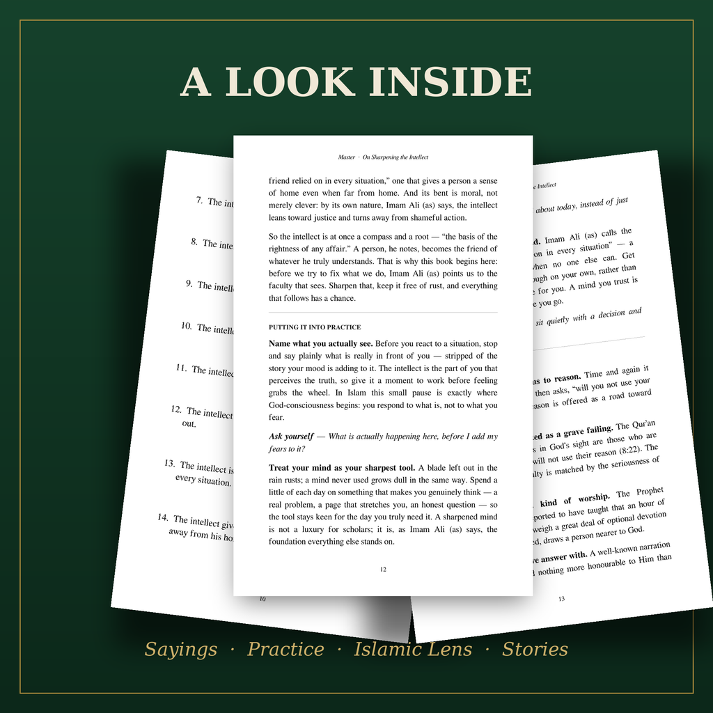 Master: On Sharpening the Intellect | Imam Ali (as) eBook PDF